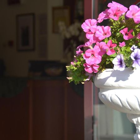 Hotel Bel Sogno Rimini Zewnętrze zdjęcie