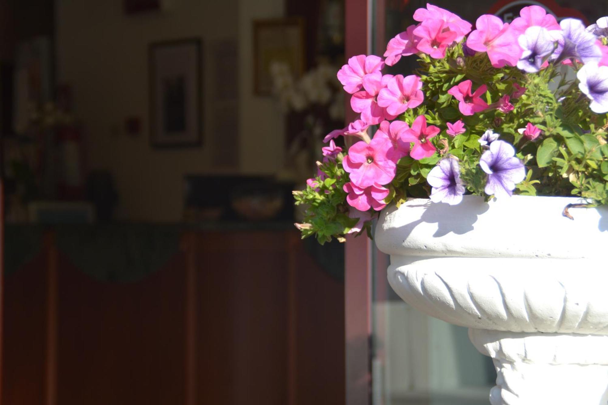 Hotel Bel Sogno Rimini Zewnętrze zdjęcie