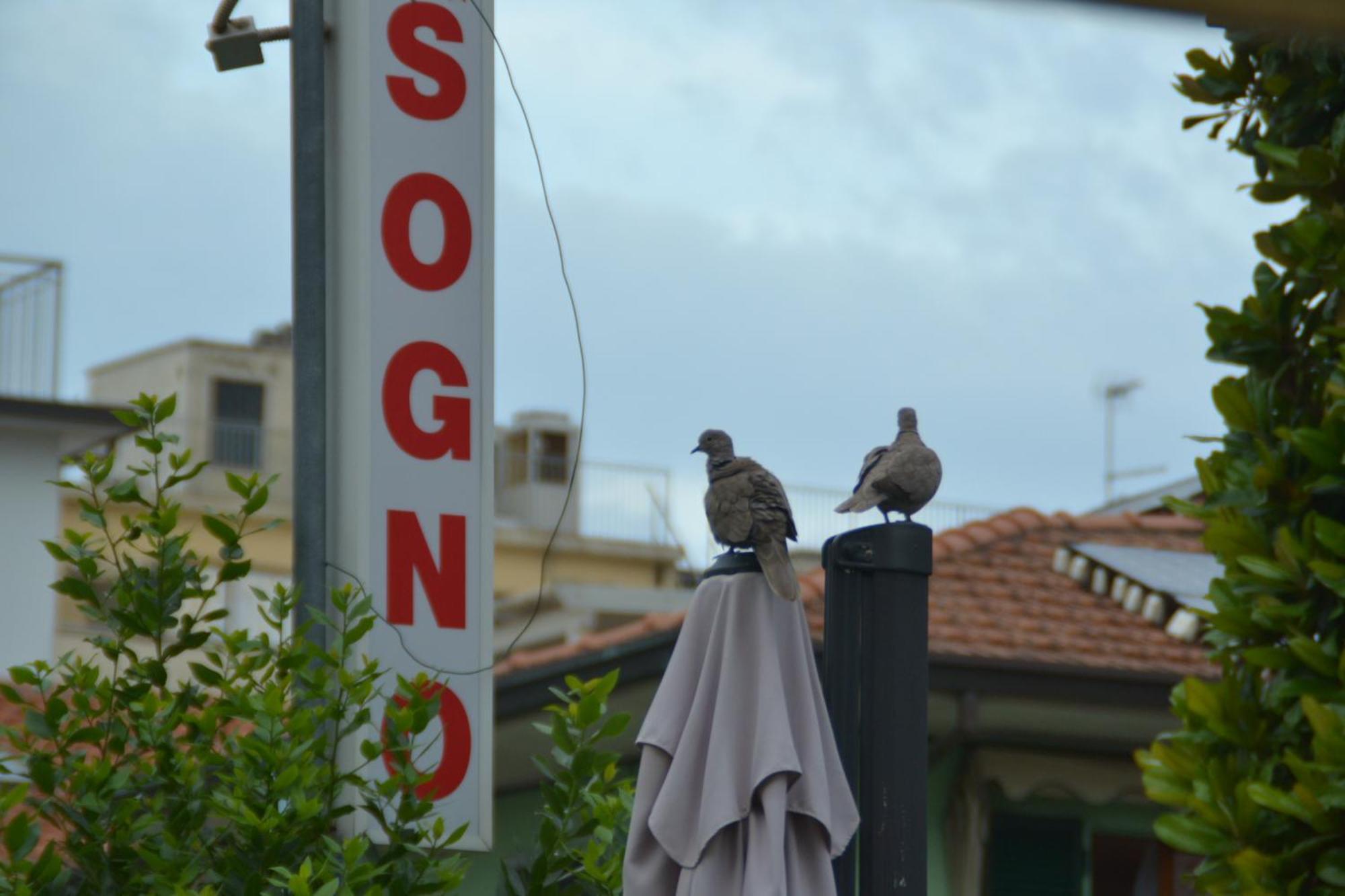 Hotel Bel Sogno Rimini Zewnętrze zdjęcie